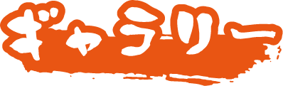 ギャラリー